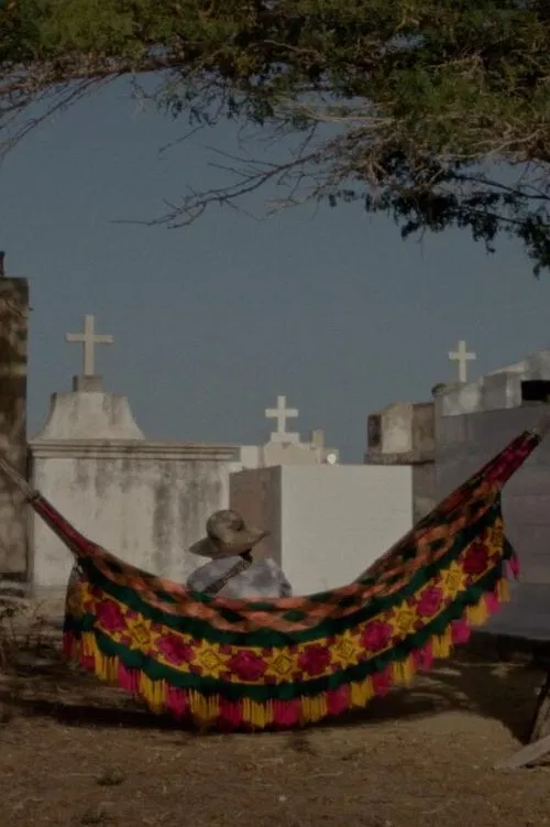 Dreams Travel With the Wind movie poster