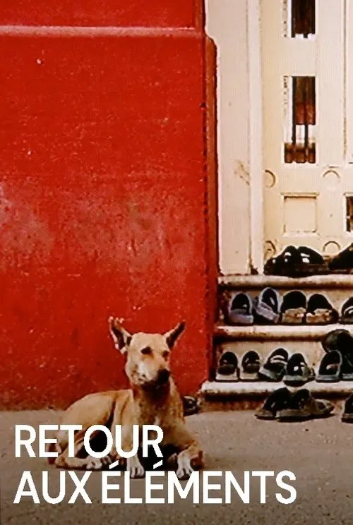 Back to the Elements movie poster