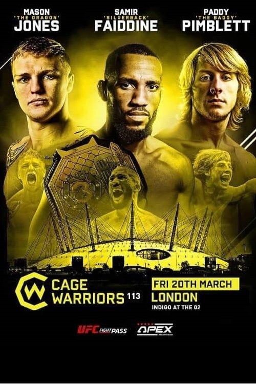 Cage Warriors 113: Fabinski vs. Stewart movie poster