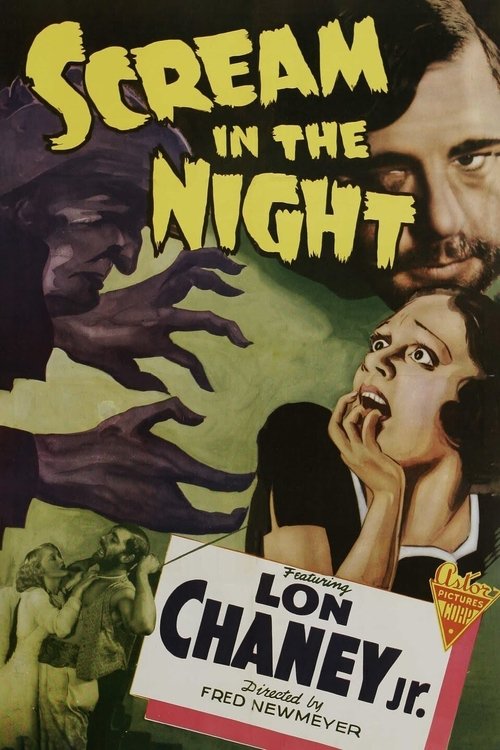 A Scream in the Night movie poster