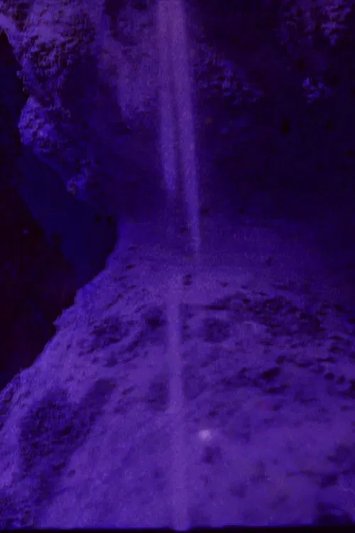 CICATRIX movie poster