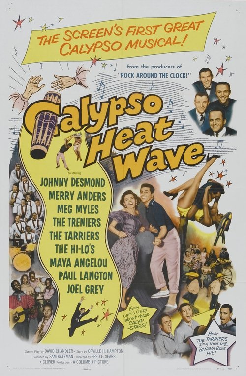 Poster do filme Calypso Heat Wave