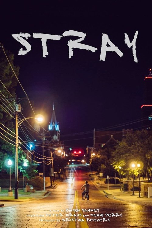Stray movie poster