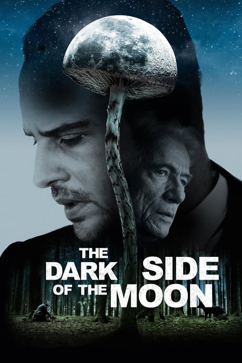 The Dark Side of the Moon movie poster