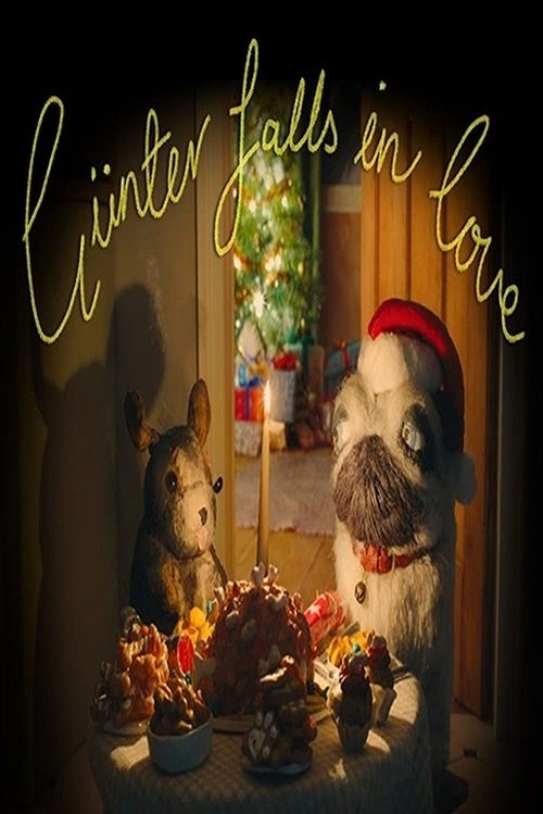 Günter Falls in Love movie poster