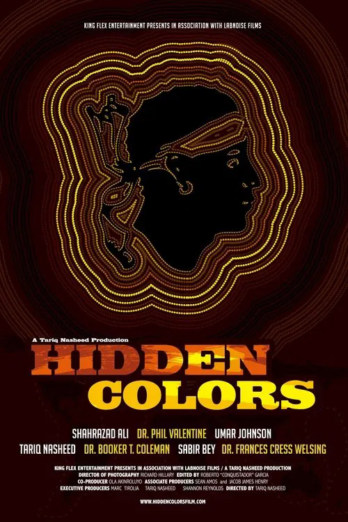 Hidden Colors movie poster