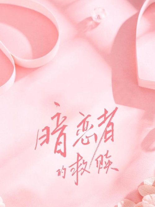 暗恋者的救赎 tv show poster