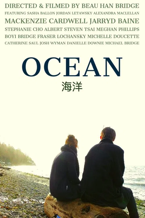 OCEAN movie poster