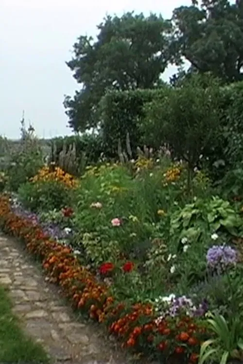 Poster do filme Allons-Y Alonzo: Souvenirs of a Landscape