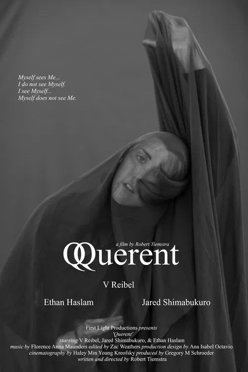 Querent movie poster