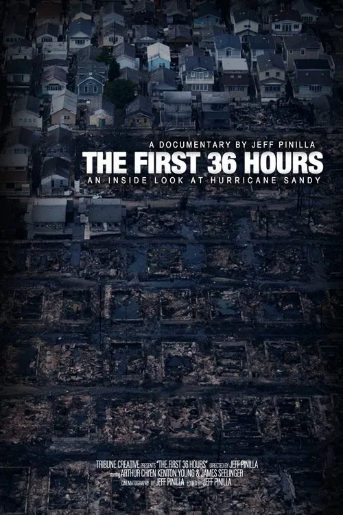 The First 36 hours: An Inside Look at Hurricane Sandy movie poster