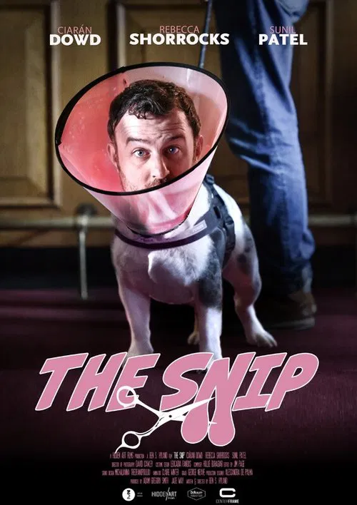 The Snip movie poster