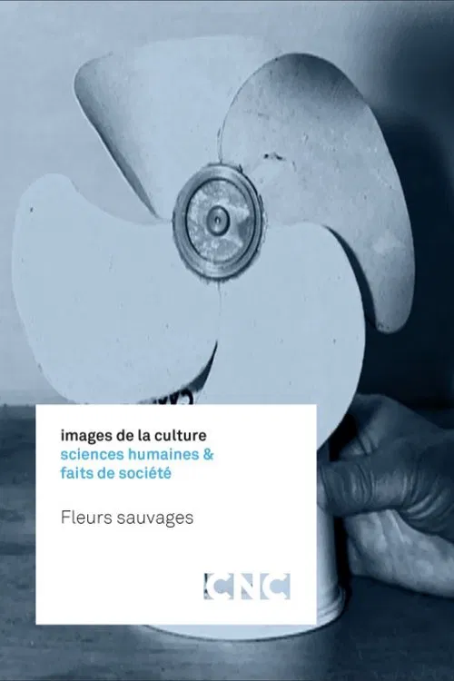 Fleurs sauvages movie poster