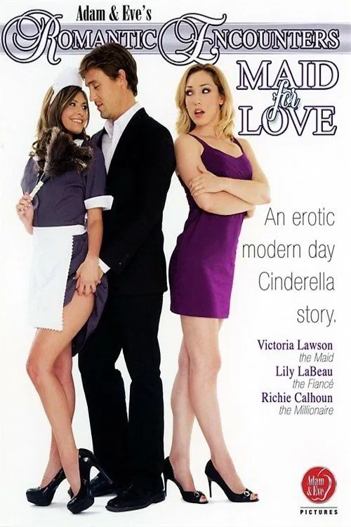 Poster do filme Romantic Encounters: Maid For Love