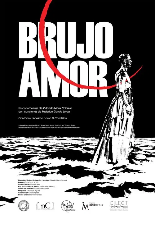 Poster do filme Sorcerous Love
