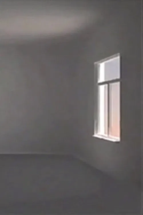 Poster do filme Room