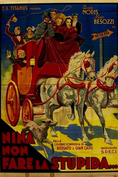 Nina, non far la stupida movie poster