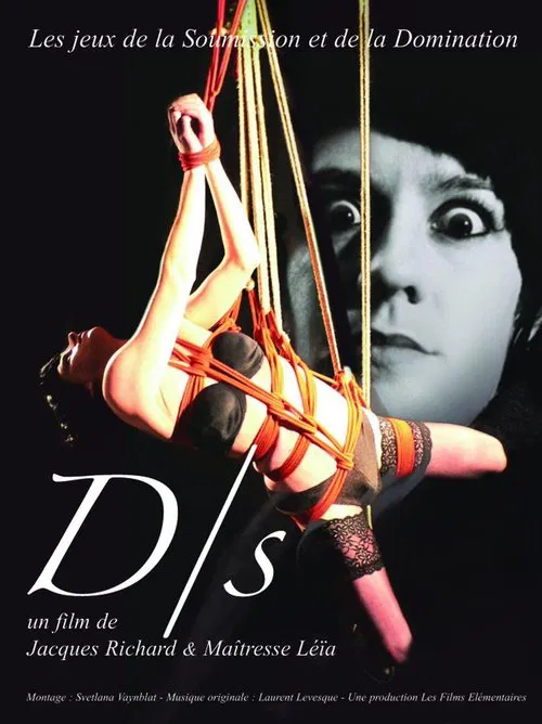 D/s movie poster