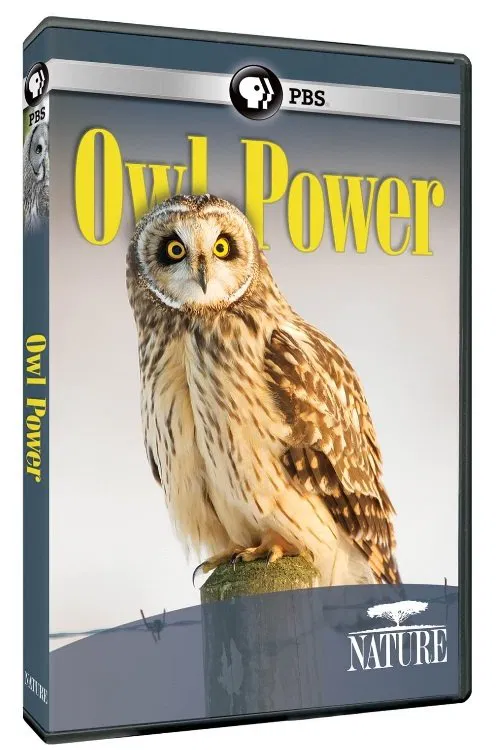 Owl Power movie poster
