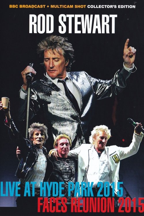 Rod Stewart - Live in Hyde Park movie poster