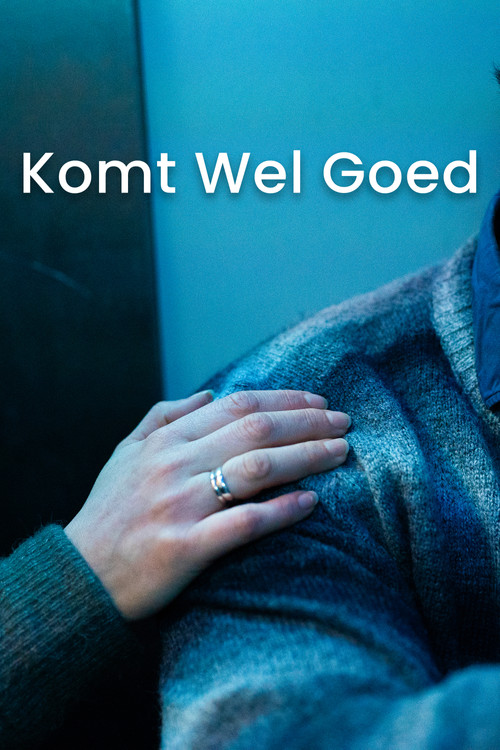 Komt Wel Goed movie poster