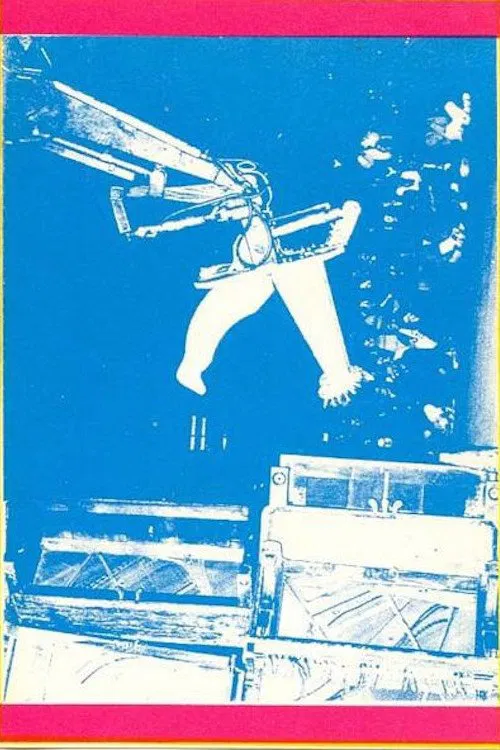 Illusions of Shameless Abundance movie poster