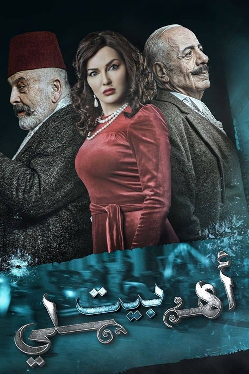 My Family's House tv show poster