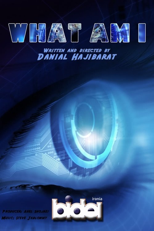 What am I movie poster