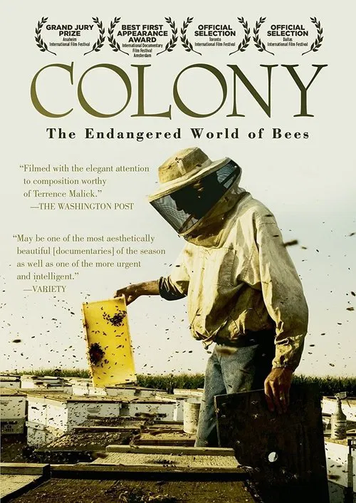 Colony movie poster
