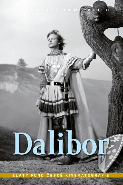 Dalibor movie poster