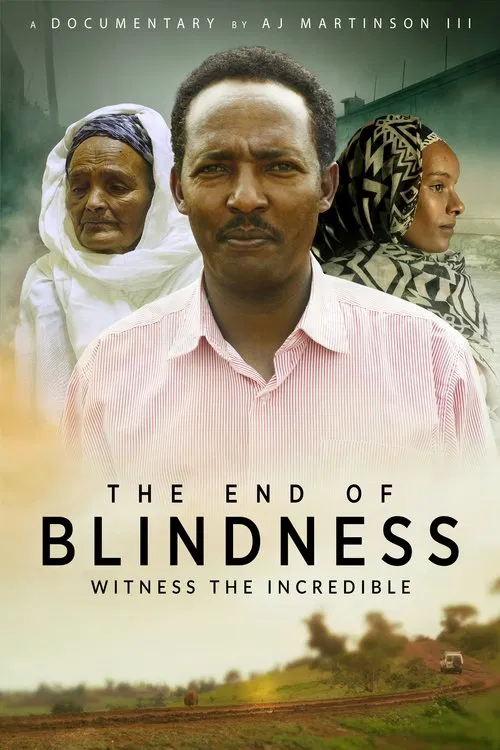 The End of Blindness movie poster