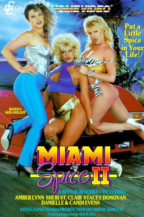 Miami Spice II movie poster