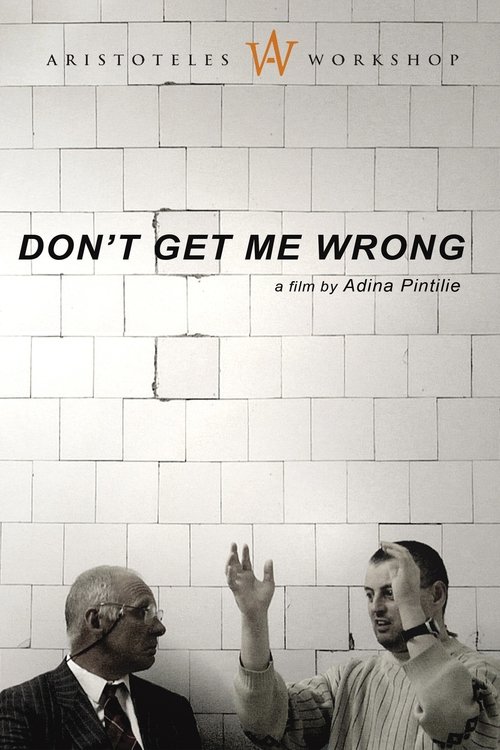 Don't Get Me Wrong movie poster