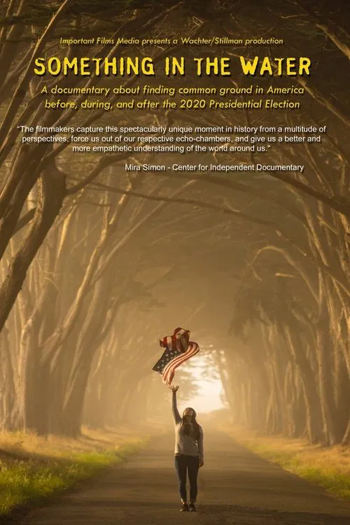 Poster do filme Something in the Water