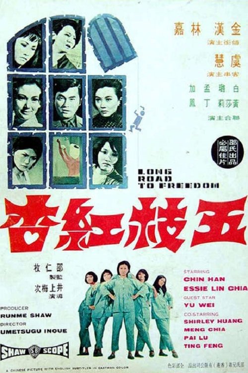 Long Road to Freedom movie poster