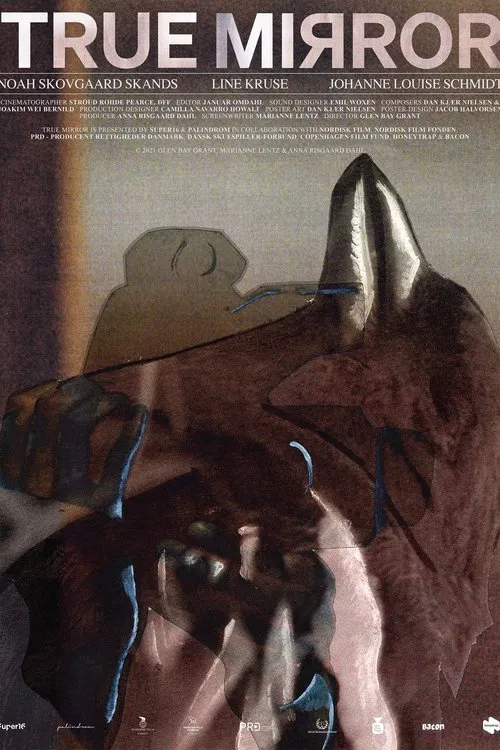True Mirror movie poster
