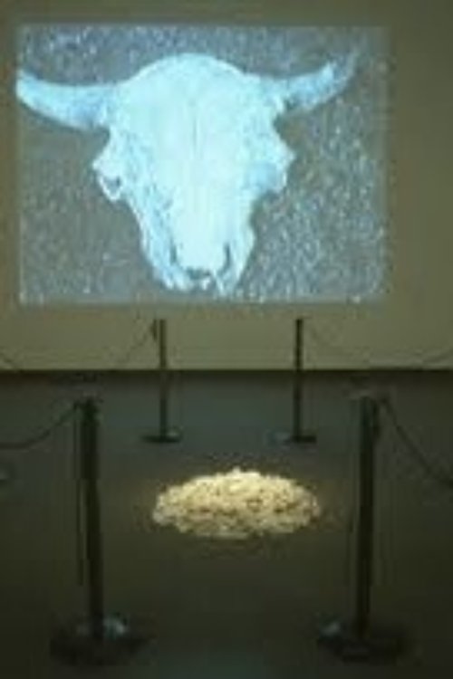 Buffalo Bone China movie poster