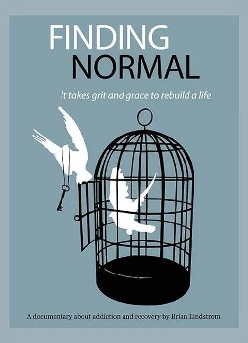 Finding Normal movie poster