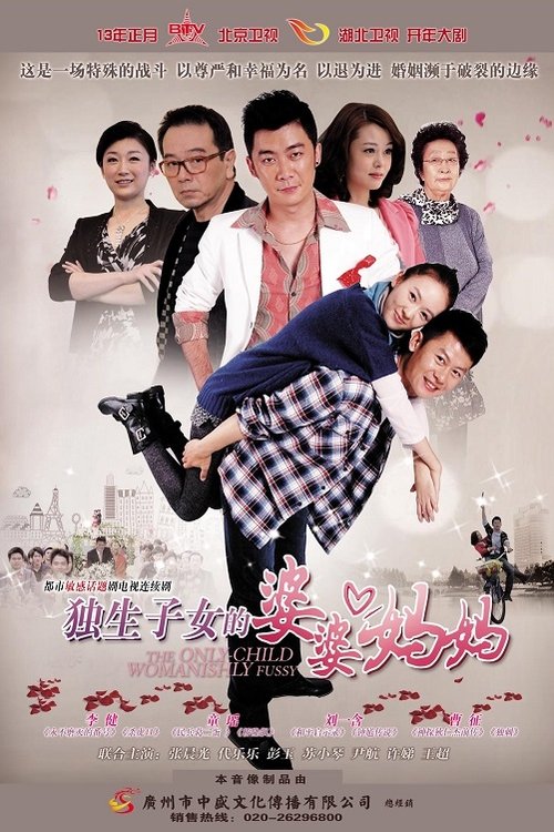 独生子女的婆婆妈妈 tv show poster