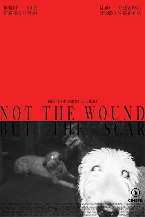 Not the Wound but the Scar movie poster