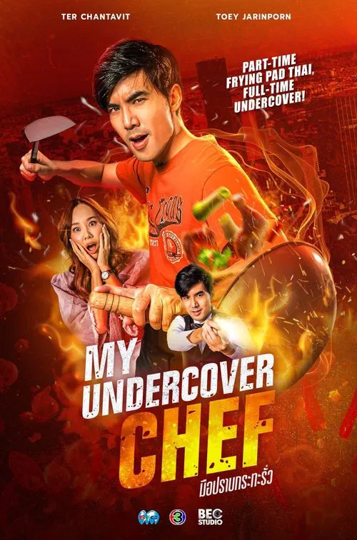 My Undercover Chef tv show poster