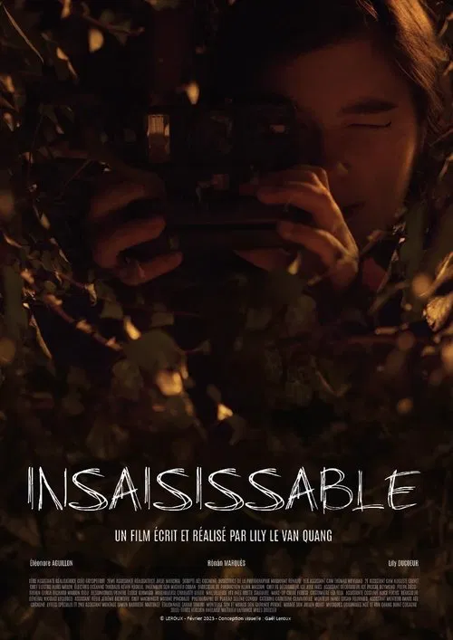 Poster do filme Insaisissable