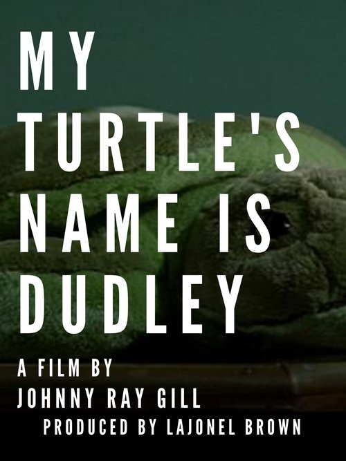 My Turtle's Name Is Dudley movie poster