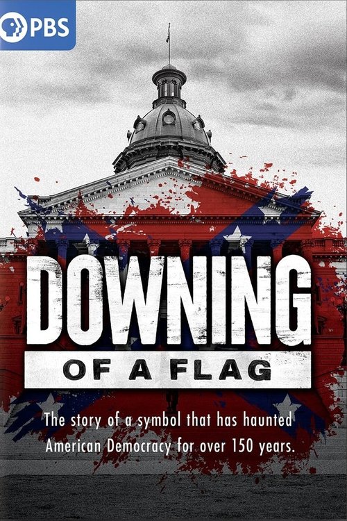 Downing of a Flag tv show poster