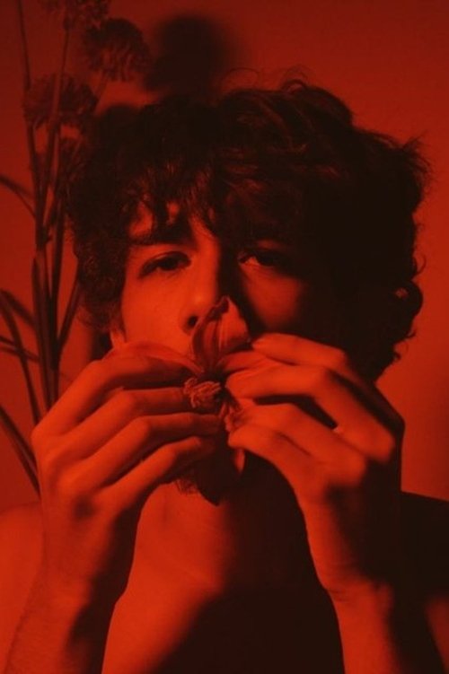 Gabriel Viggo profile picture