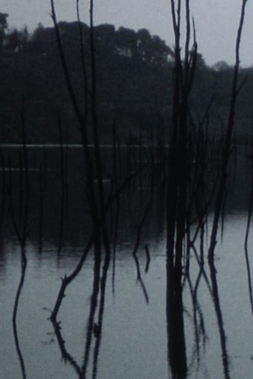 Sleeping waters movie poster