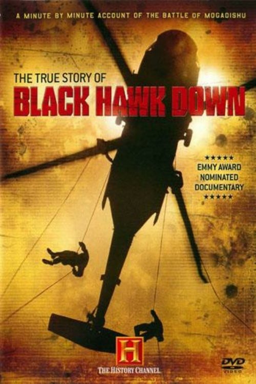 The True Story of Black Hawk Down movie poster