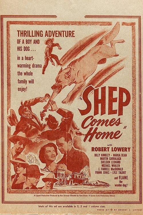 Shep Comes Home movie poster