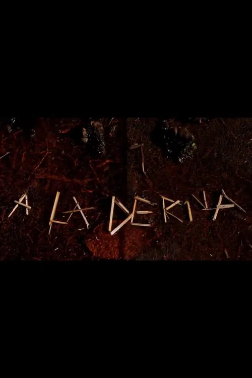 Poster do filme A La Deriva