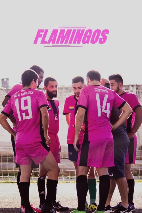 Flamingos movie poster